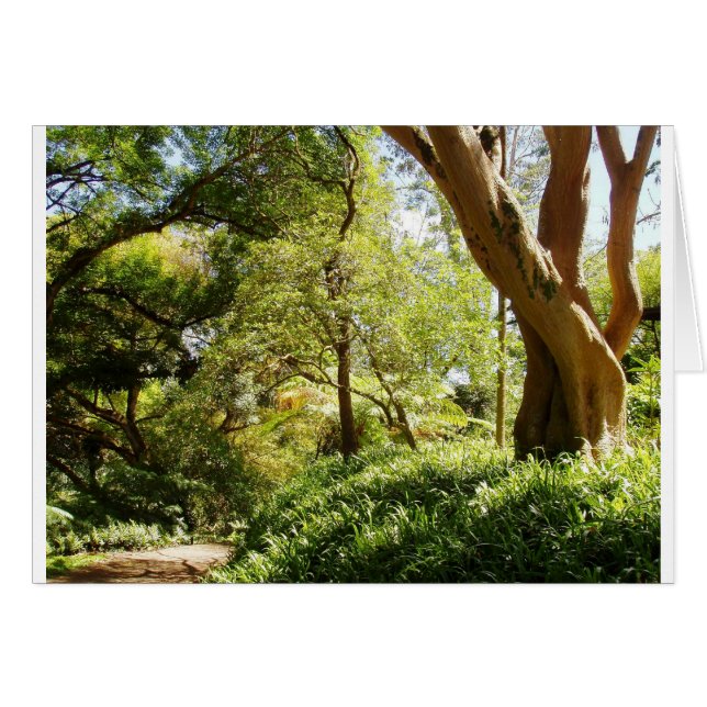 Wahiawa Botanical Garden Hälsningskort (Framsidan Horizontal)