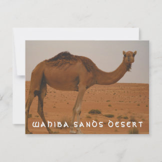 Wahiba sands öken vykort 