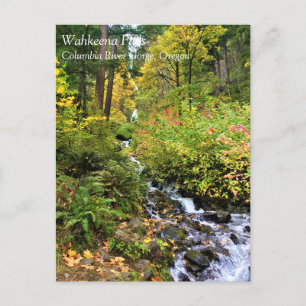 Wahkeena Falls, Columbia River Gorge, Oregon Postc Vykort