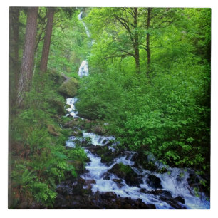 Wahkeena Falls, OR Kakelplatta