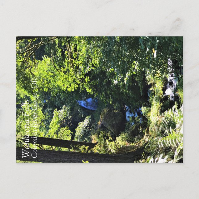 Wahkeena Falls, OR Vykort (Framsida)