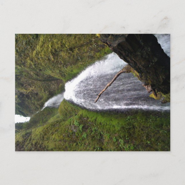 Wahkeena Falls, Oregon Vykort (Framsida)