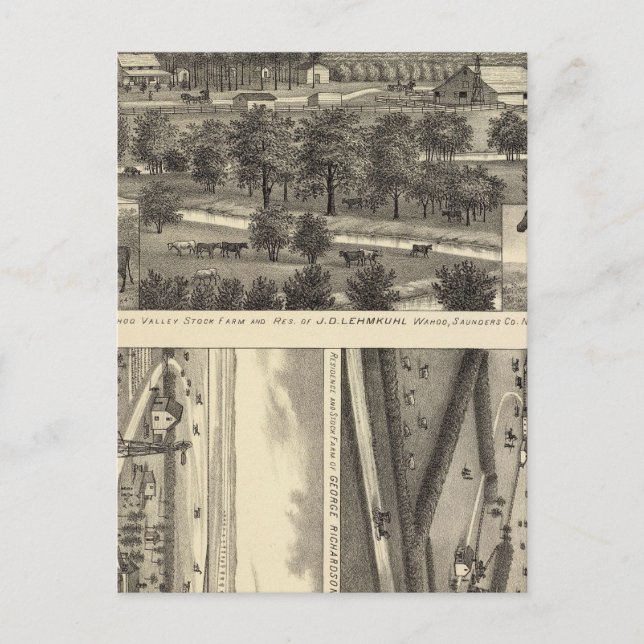 Wahoo Valley Farm, Nebraska Vykort (Framsida)
