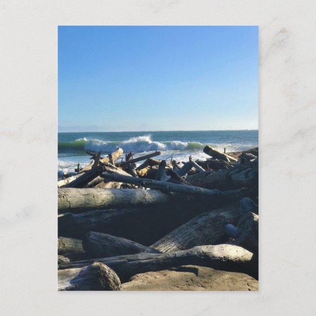 Waikiki Beach, Cape Disseende, Washington Vykort (Framsida)