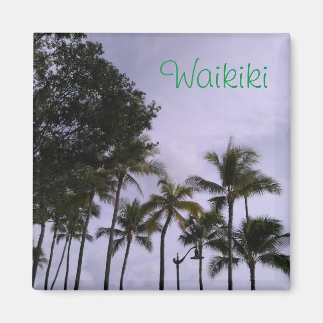 Waikiki magnet (Framsidan)