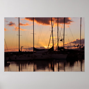 Waikiki Small Boat Harbour Skriv ut Poster