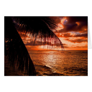 Waikiki Sunset I Hälsningskort