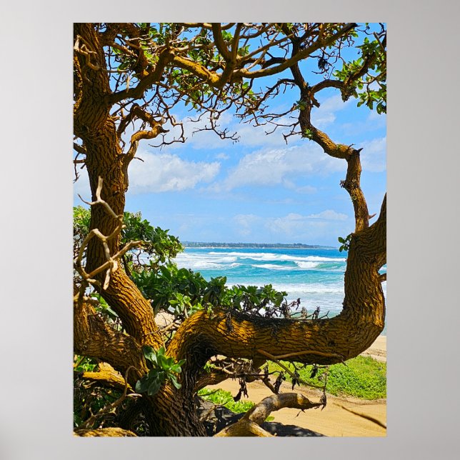 Wailua Golf Course Scene Poster (Framsidan)