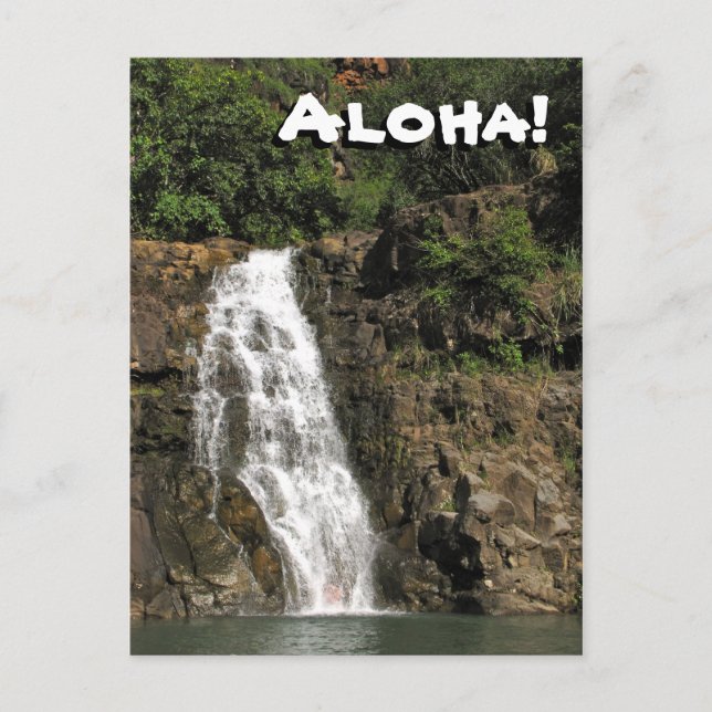 Waimea Audubon Waterfall från Hawaii Postcard Vykort (Framsida)