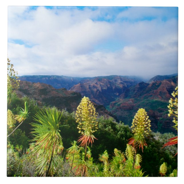 Waimea Canyon | Kauai, Hawaii Kakelplatta (Framsidan)