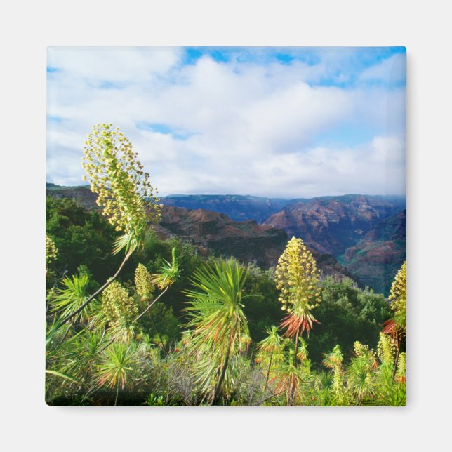 Waimea Canyon | Kauai, Hawaii Magnet (Framsidan)