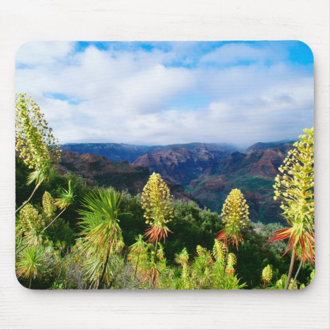 Waimea Canyon | Kauai, Hawaii Musmatta (Framsidan)