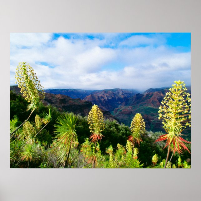 Waimea Canyon | Kauai, Hawaii Poster (Framsidan)