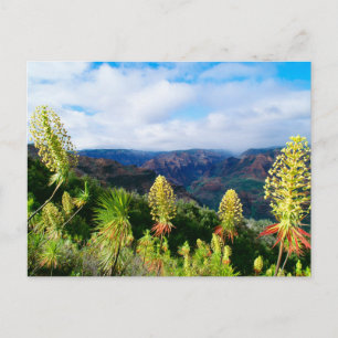 Waimea Canyon Kauai, Hawaii Vykort