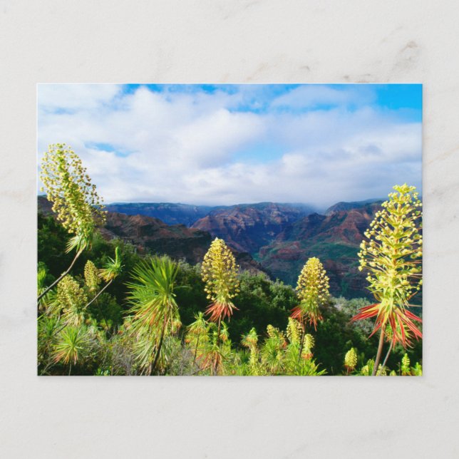 Waimea Canyon | Kauai, Hawaii Vykort (Framsida)