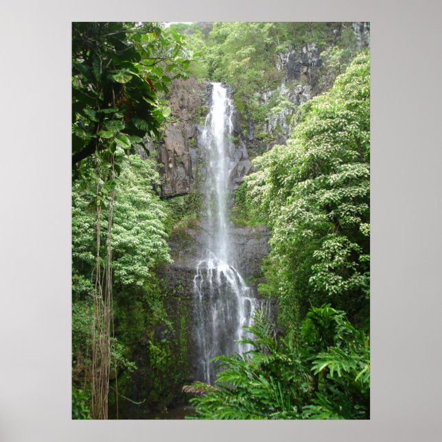 Waimea Falls, Hana, Maui, Hawaii Poster (Framsidan)
