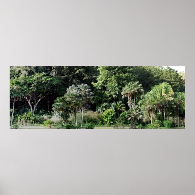 Waimea Falls Park Poster (Framsidan)