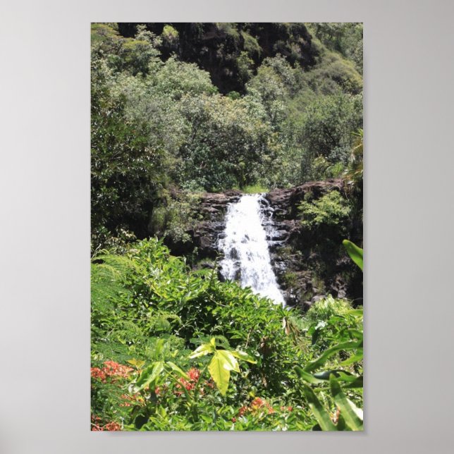 Waimea Falls Poster (Framsidan)
