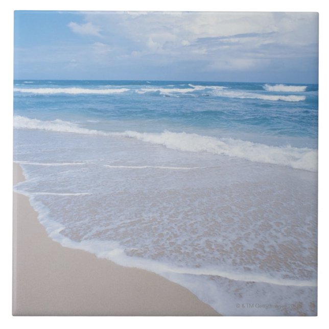 Waimea fjärd, Oahu, hawaianska öar Kakelplatta (Framsidan)