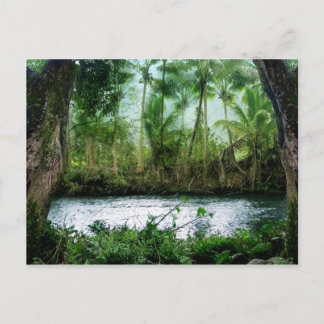 Waipio Valley Vykort