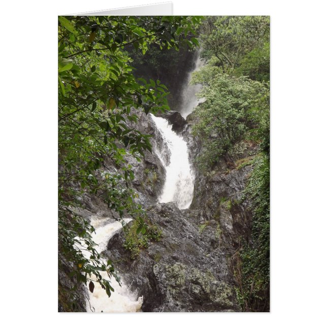 Wairere Falls, Whakatane Hälsningskort (Framsidan)