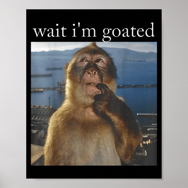 Wait I'm Goated Funny Thinking Monkey Meme Gen Z H Poster (Framsidan)