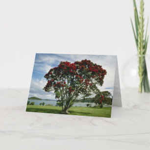 Waitangi, Julgran, nyzeeländska blomman Helgkort