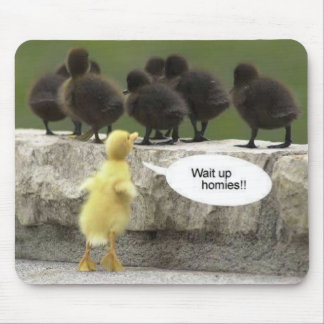 waituphomies musmatta