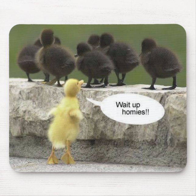 waituphomies musmatta (Framsidan)