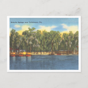 Wakulla Vår Florida Vintage med Boats Vykort