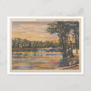 Wakulla Vår Florida Vintage Sunset på Vatten Vykort