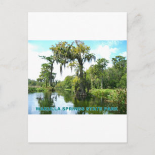 WAKULLA VÅR STATE PARK - FLORIDA VYKORT