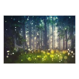 Wald, Bäume auf Waldlichtung, Dämmerung Fototryck