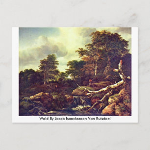 Wald by Jacob Isaackszoon Van Ruisdael Vykort