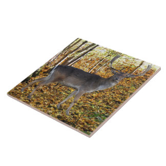 Waldbewohner Kakelplatta