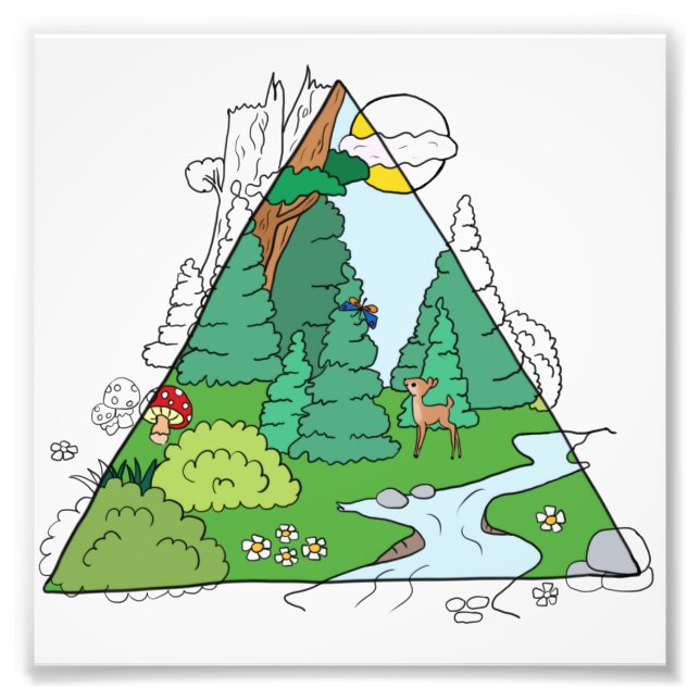 Waldbild Fototryck (Framsidan)