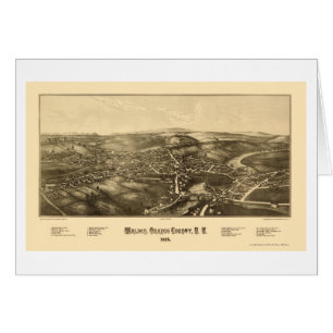 Walden panorama- karta för NY - 1887 Hälsningskort