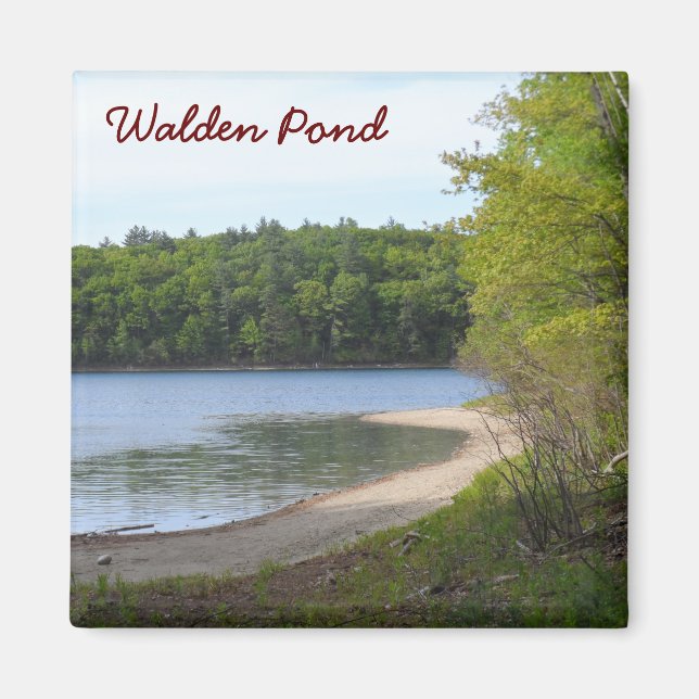 Walden Pond, Concord, MORSA Magnet (Framsidan)