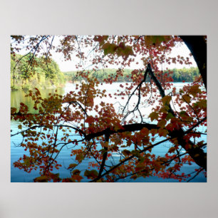 Walden Pond genom Höst löv Poster