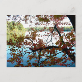 Walden Pond genom Höst löv Vykort