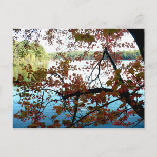 Walden Pond genom Höst löv Vykort