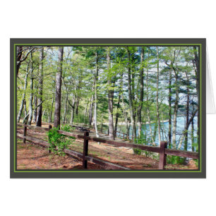 Walden Pond: Hälsningskort