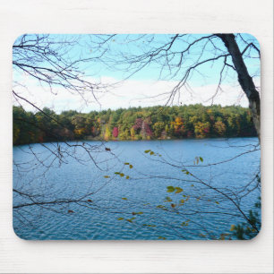 Walden Pond i Fall Musmatta