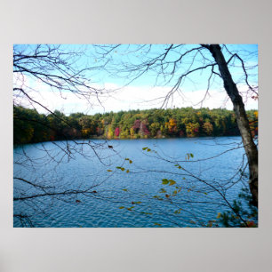 Walden Pond i Fall Poster