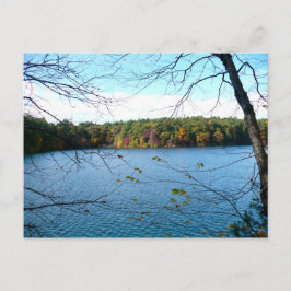Walden Pond i Fall Vykort