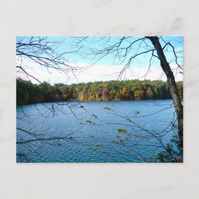 Walden Pond i Fall Vykort (Framsida)