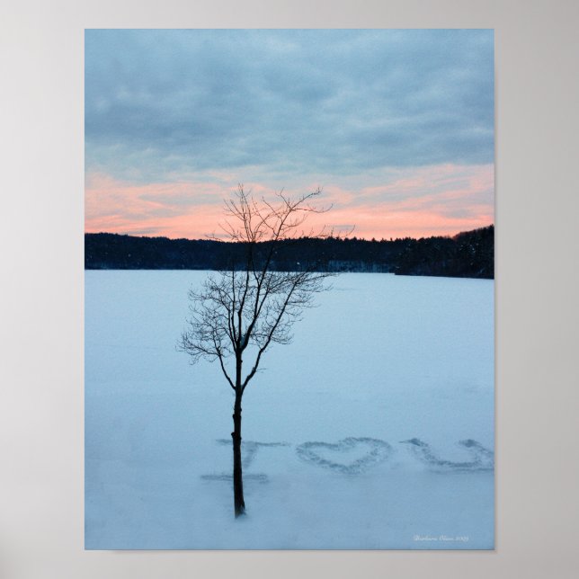 Walden Pond I Kärlek U: Winter Kärlek poster (Framsidan)