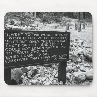 Walden Pond-musmatta Musmatta