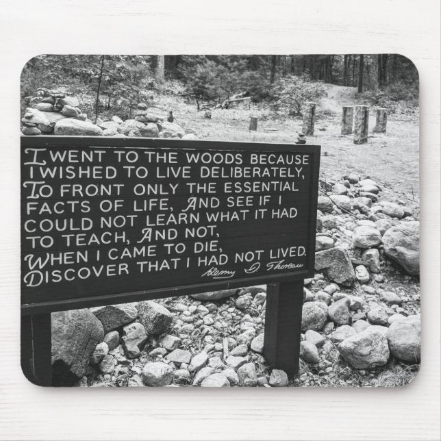 Walden Pond-musmatta Musmatta (Framsidan)