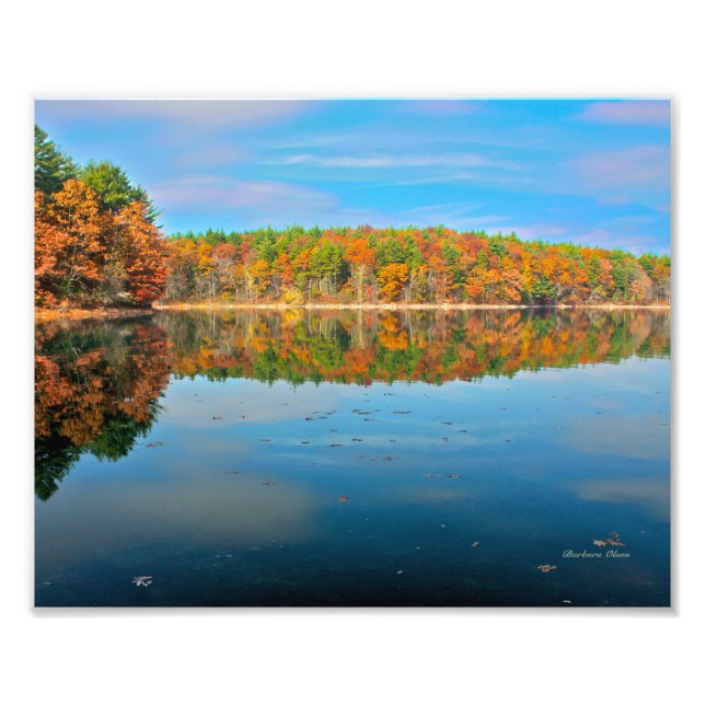Walden Pond Photo Print Fototryck (Framsidan)